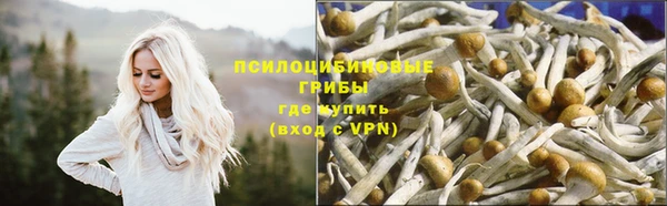 стаф Краснослободск