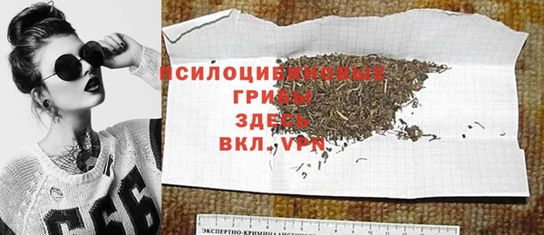 стаф Краснослободск