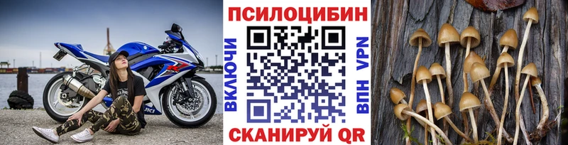блэк спрут tor  сколько стоит  Чебаркуль  Псилоцибиновые грибы Magic Shrooms 