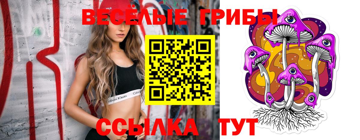 Псилоцибиновые грибы GOLDEN TEACHER Чебаркуль
