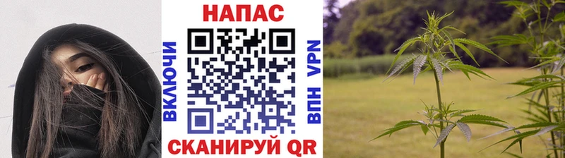 OMG ССЫЛКА  Чебаркуль  Конопля тримм 